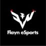 Flayin eSports